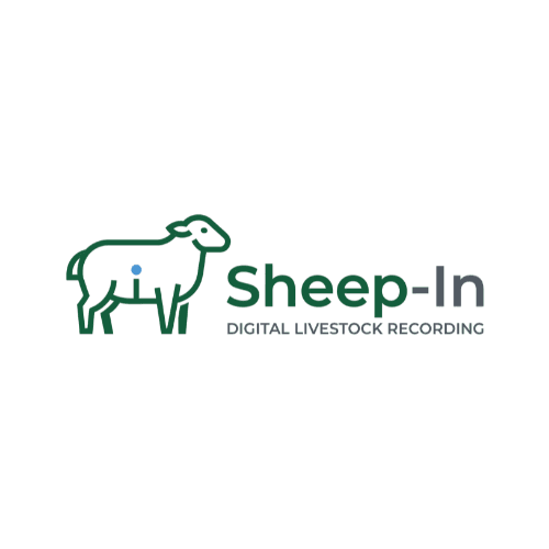 Sheep-In